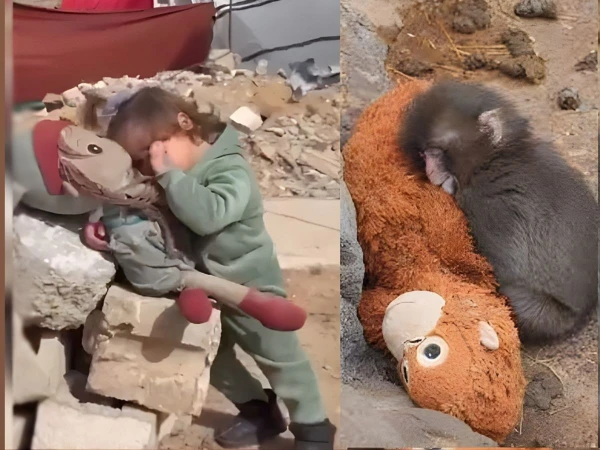 Cuban Embassy Video Questions Global Silence on Gaza Child Suffering